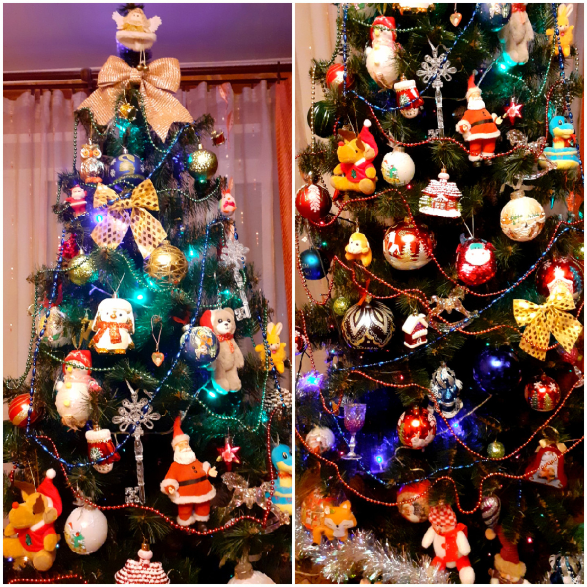 新年枞树 [xīnnián cōngshù] - новогодняя ёлка, фото Автора