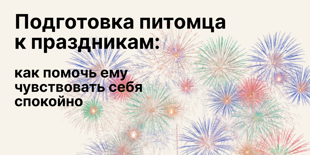 Подготовка питомца к праздникам: как помочь ему чувствовать себя спокойно