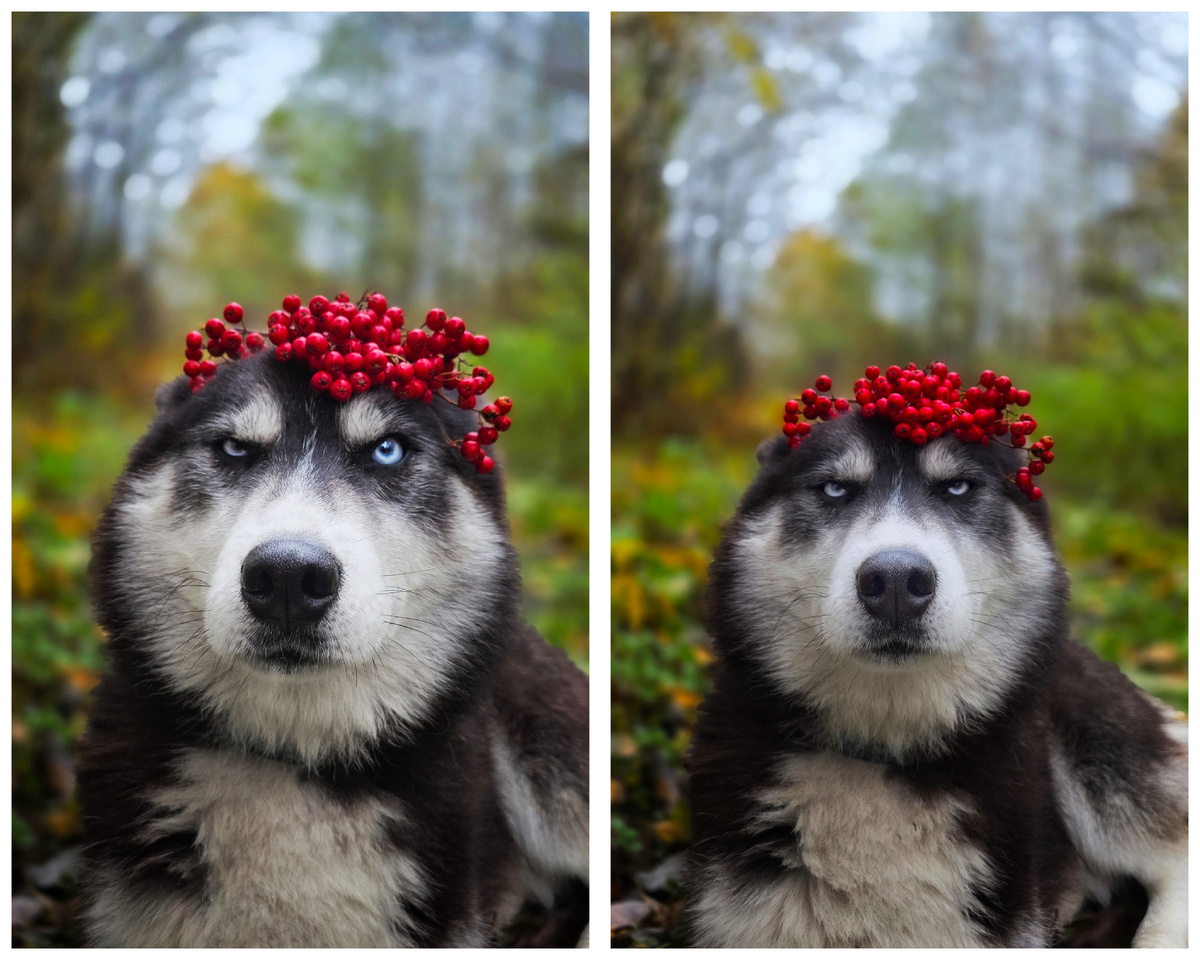 Нет, ну вы видели ЭТО выражение лица!?