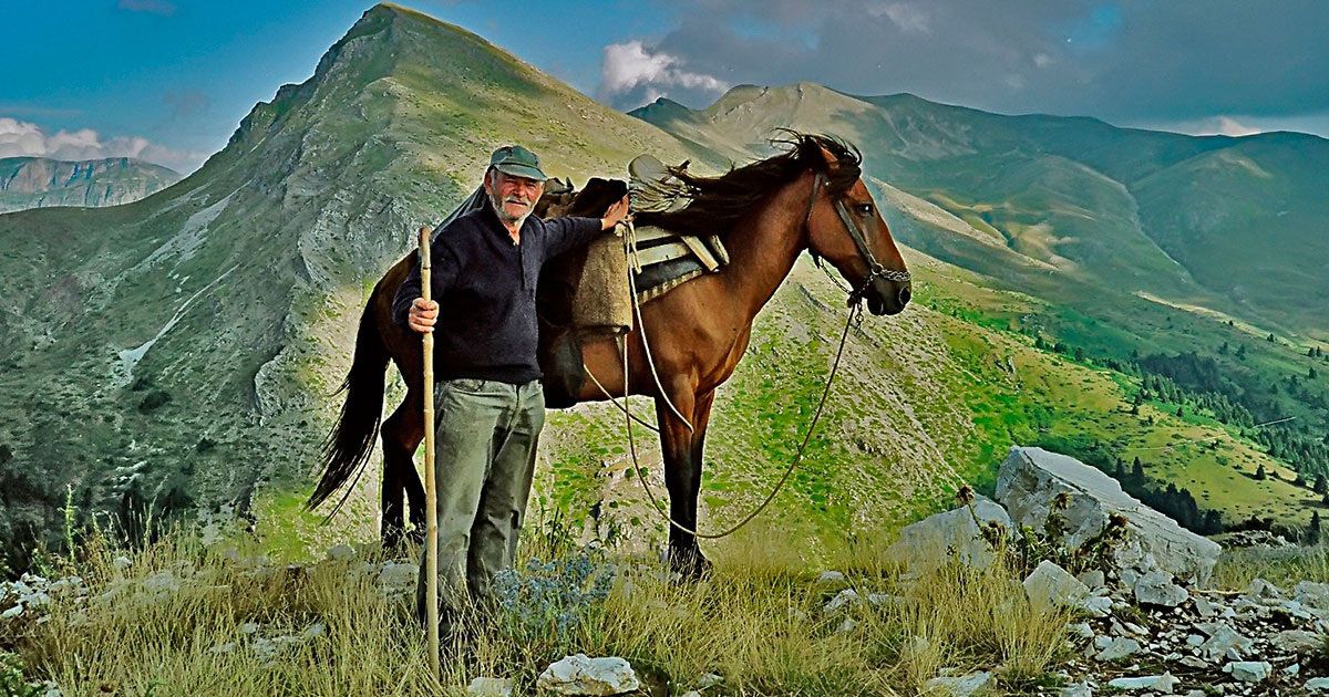 Natalia Sedyh / Flickr