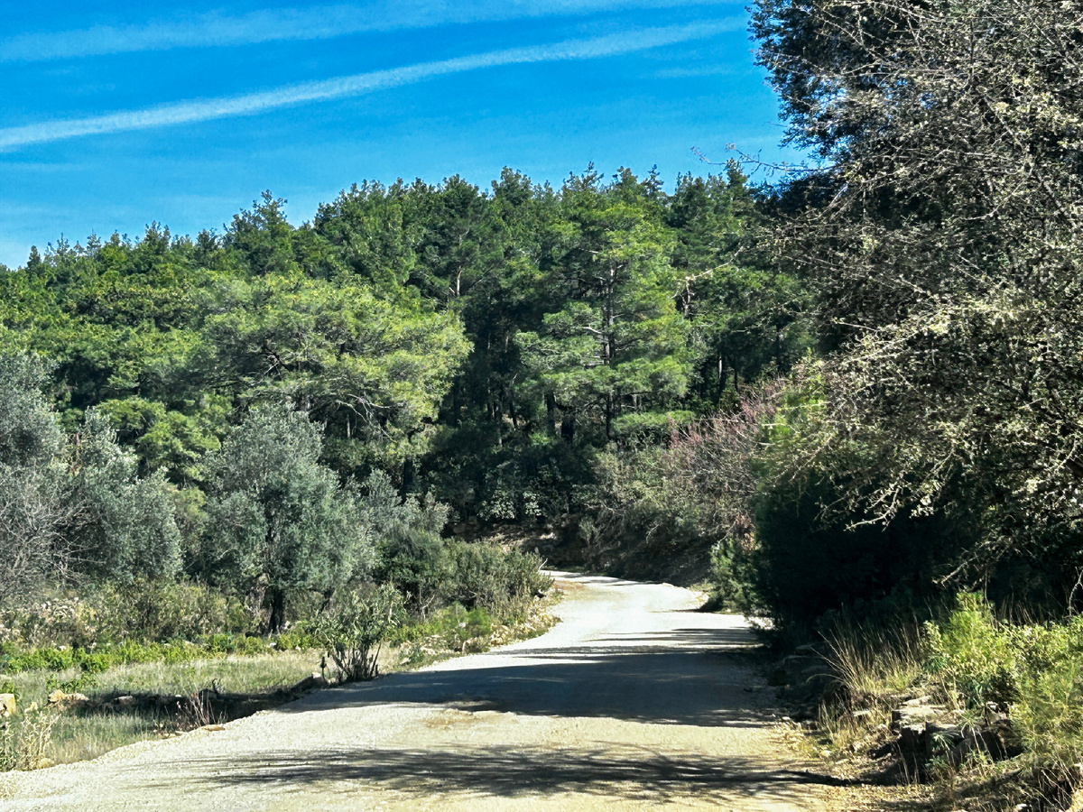 Дорога к каньону Тазы.