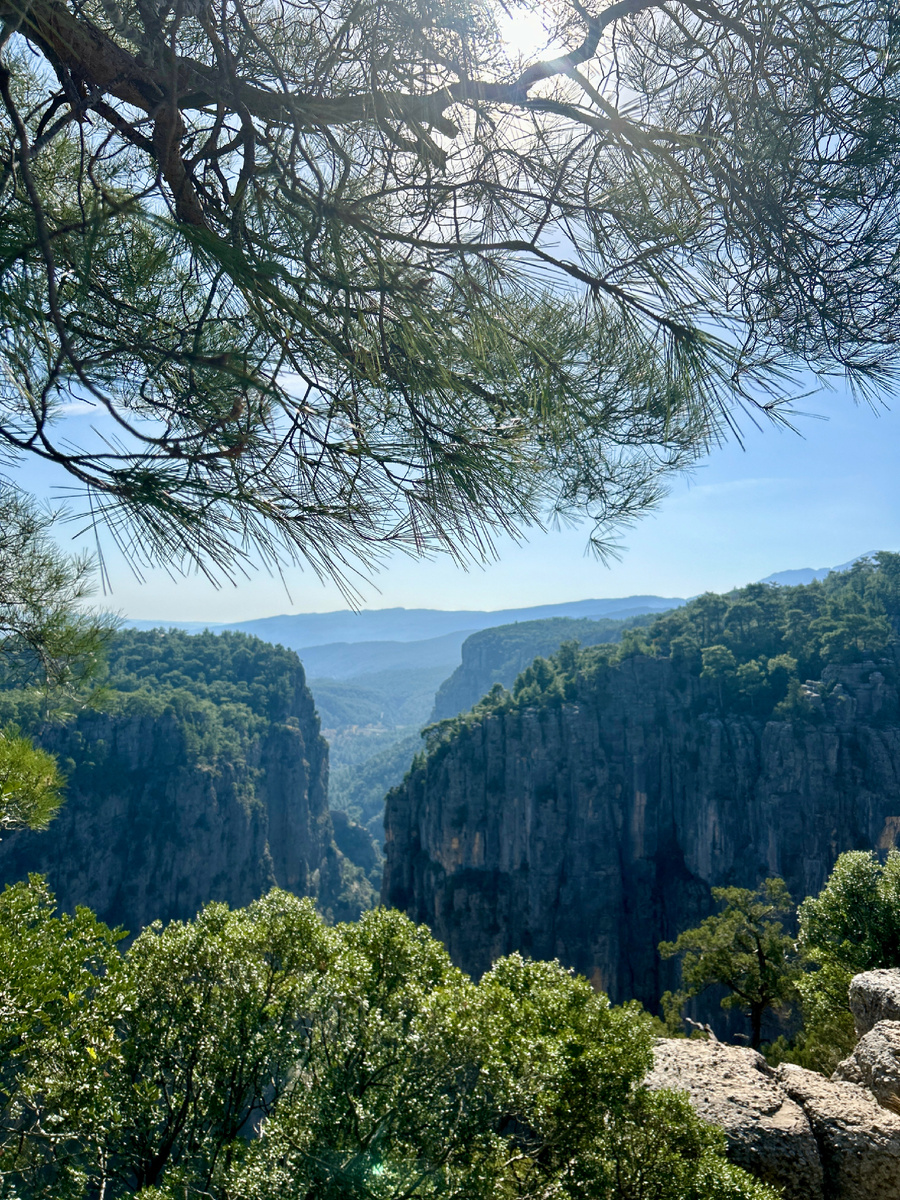 Каньон Тазы.