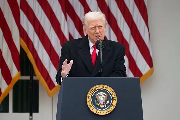    Фото: lenta.ru Полина Белоусова