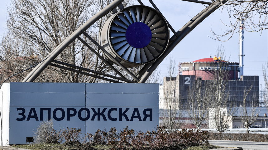    Фото: © РИА Новости/Константин Михальчевский; 5-tv.ru