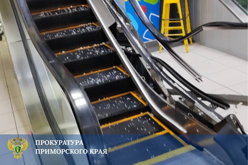    Фото © Telegram / Прокуратура Приморского края