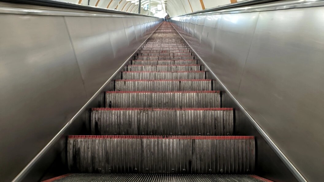    Фото: Maksim Konstantinov/Globallookpress