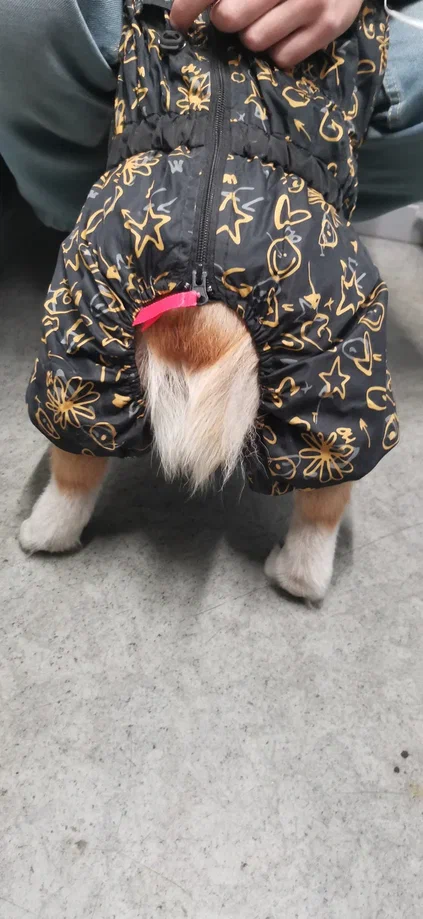 Корво в деле