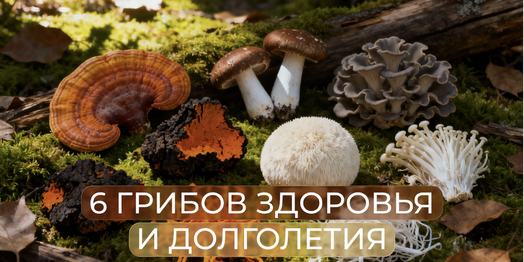 Добавьте их в свой рацион, чтобы стать долгожителем!