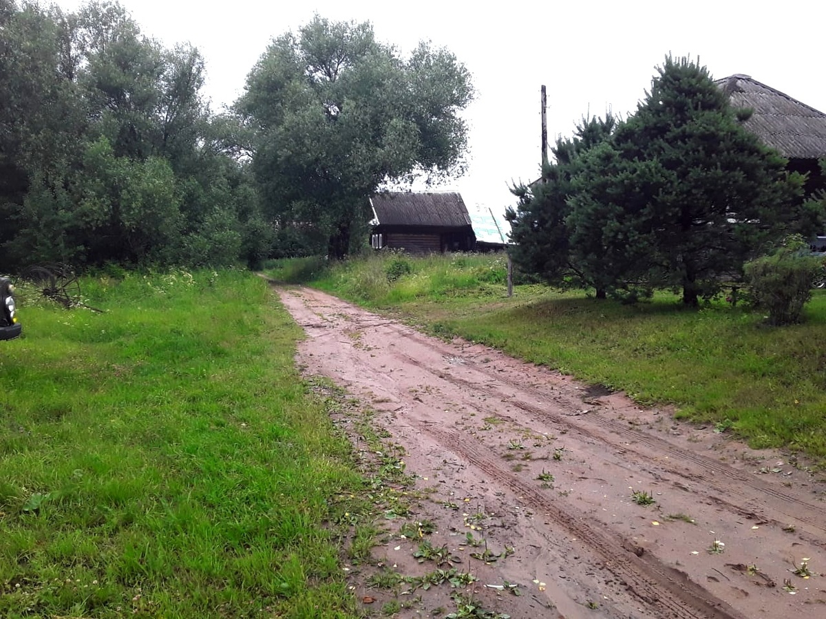 Так сегодня выглядит центральная (и единственная) улица деревни Буяново. Фото из личного архива автора.
