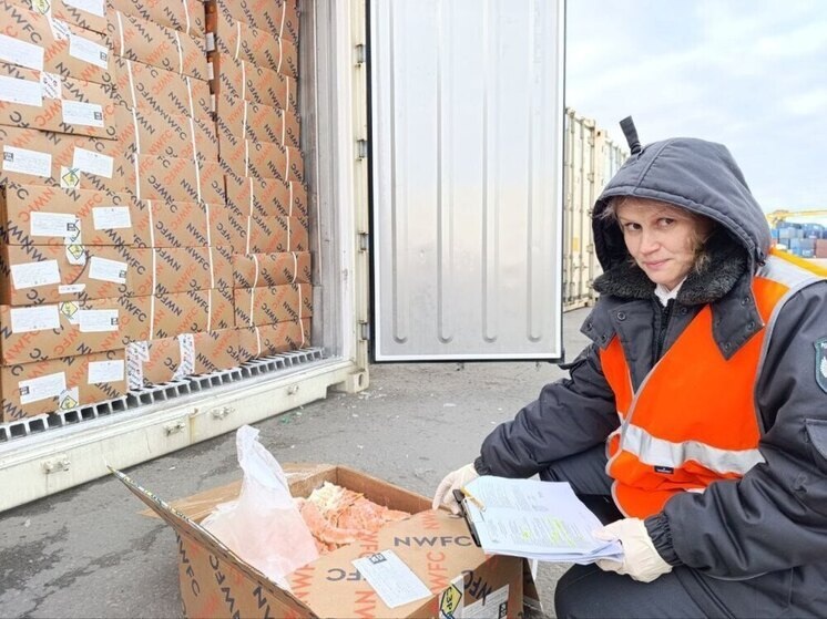     Продукцию отправили получателям вместе с ветеринарными сертификатами. Фото: пресс-служба Северо-Западного межрегионального управления Федеральной службы по ветеринарному и фитосанитарному надзору