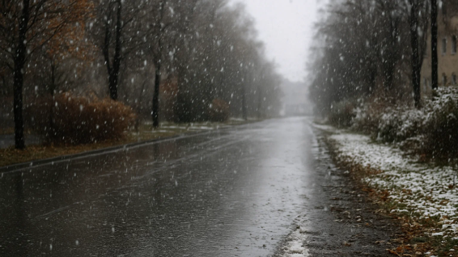 Фото: Изображение создано при помощи нейросети