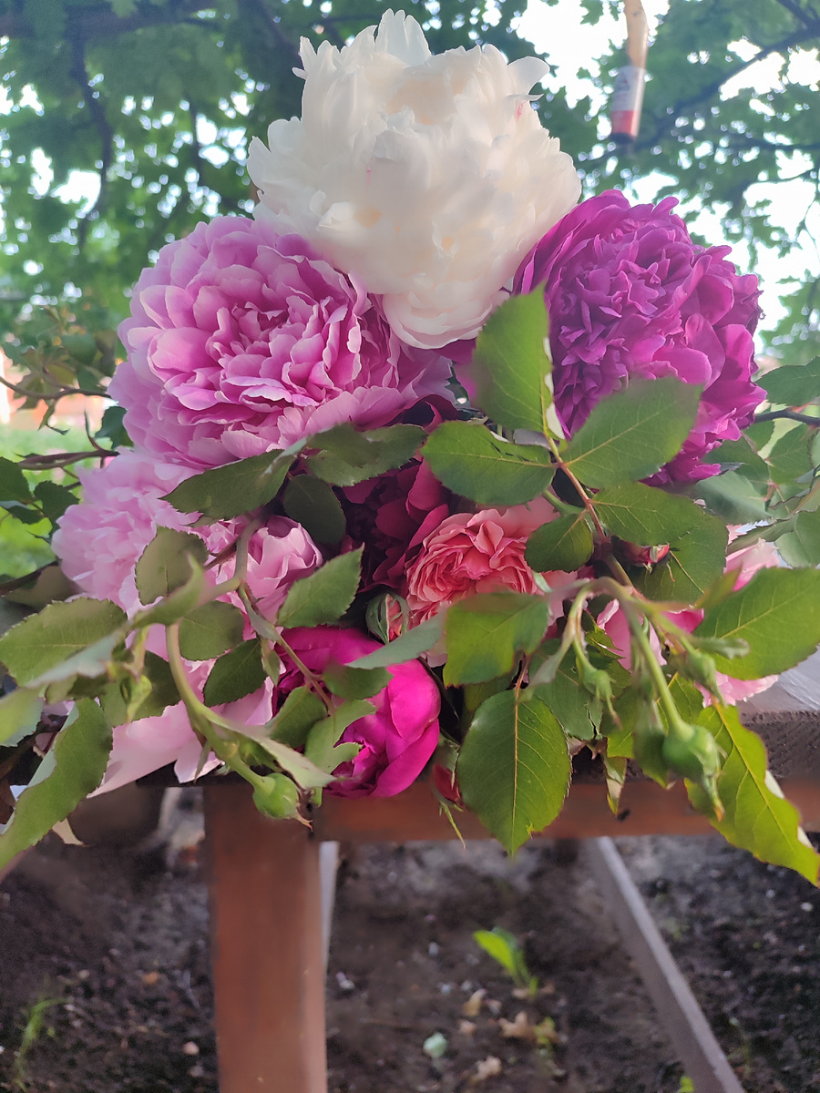 Любимые цветы мамы