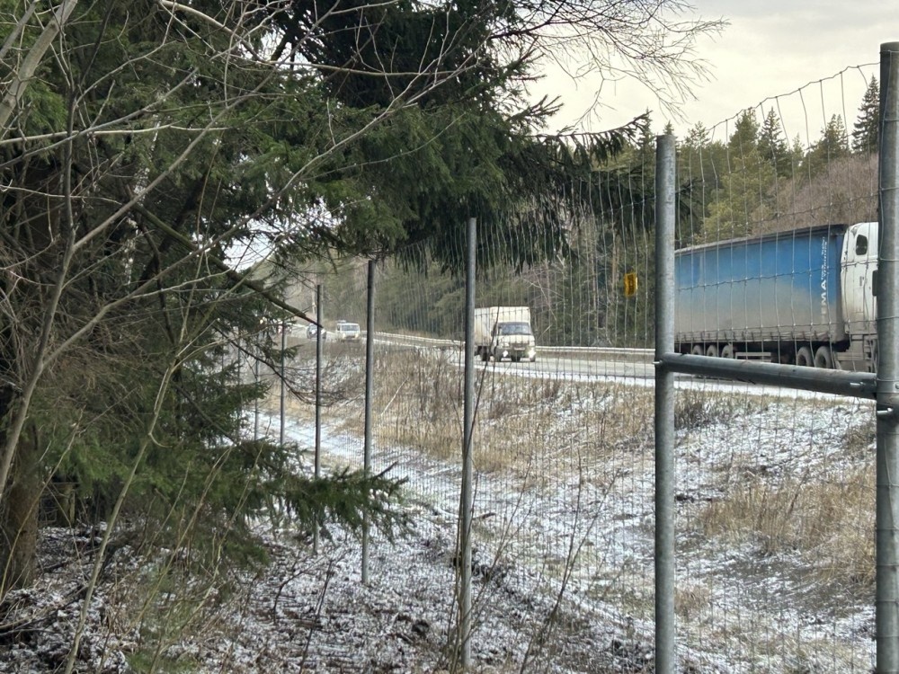    Заборы от лосей устанавливают на трассах Удмуртии