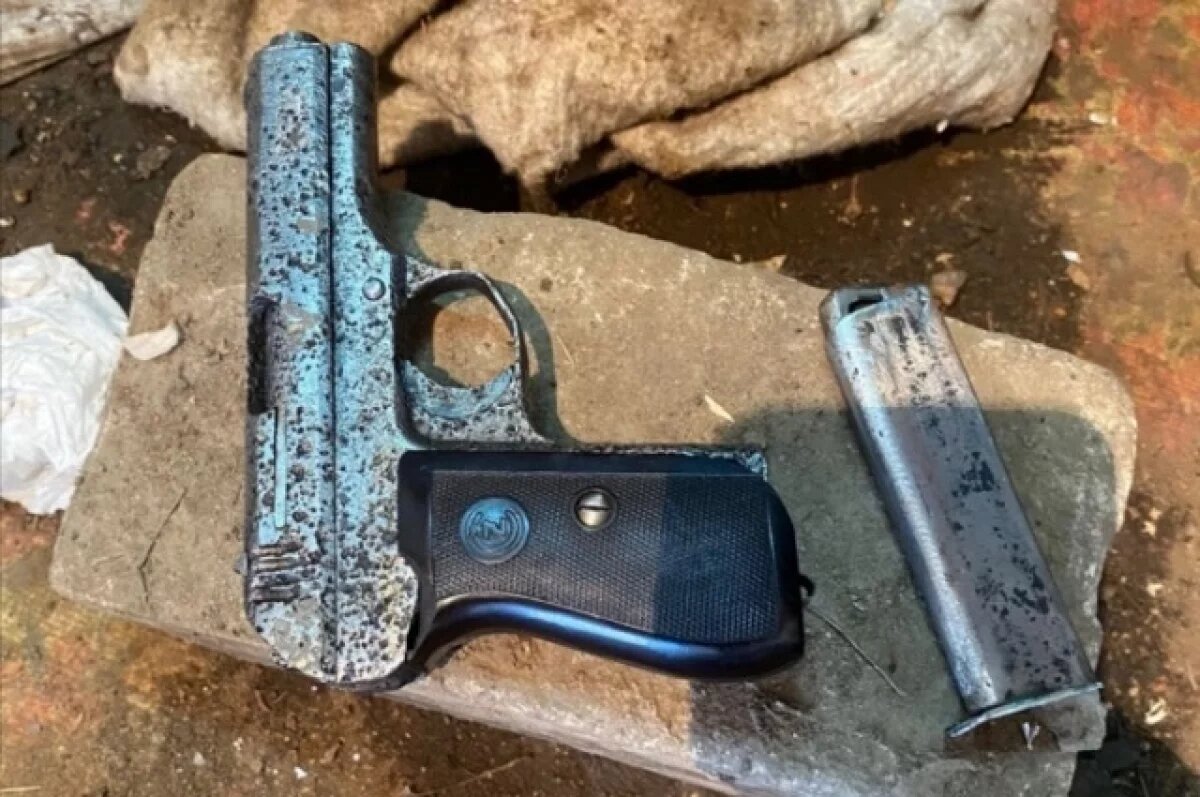    В Тверской области житель незаконно собрал у себя дома целый музей оружия