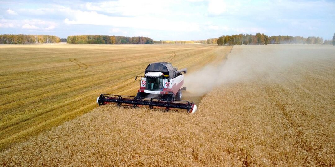 Покупай в 2025, а плати в 2026