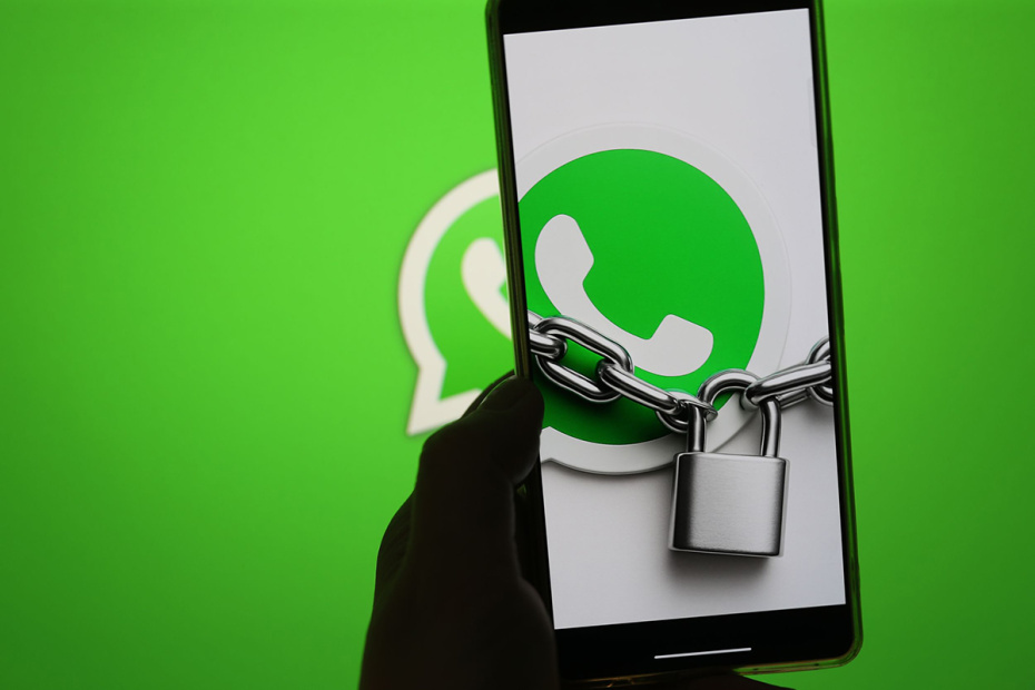    Александра Погиба/NEWS.ru