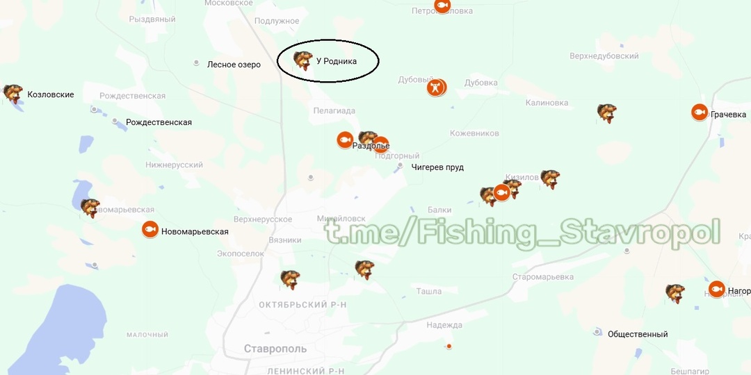 Рыбалка У РОДНИКА