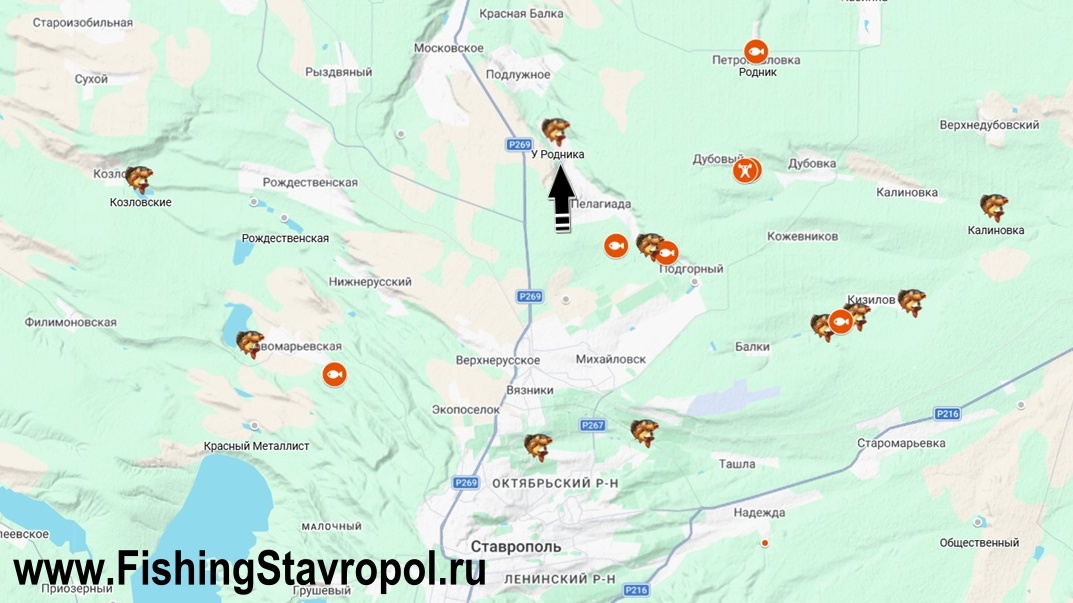 Платная рыбалка "У Родника"