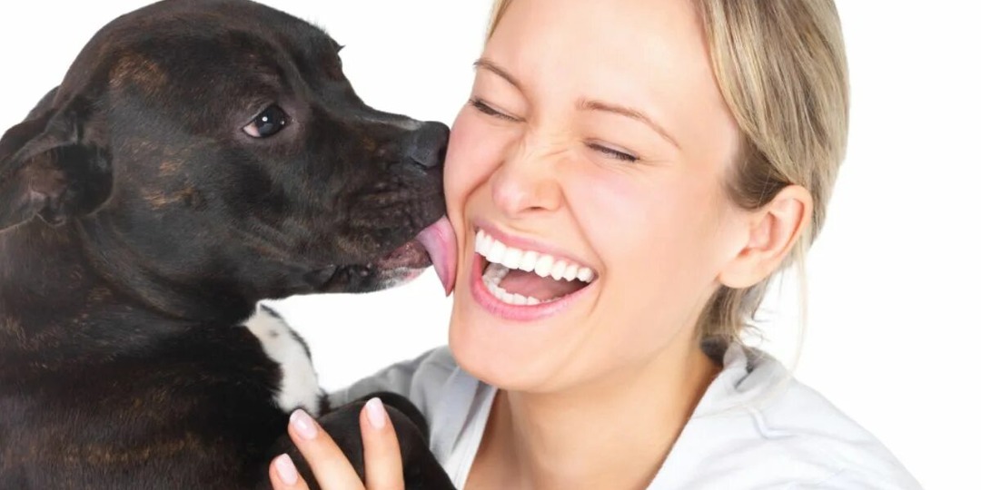 Почему собака лижет хозяина: разгадка собачьего «поцелуя»