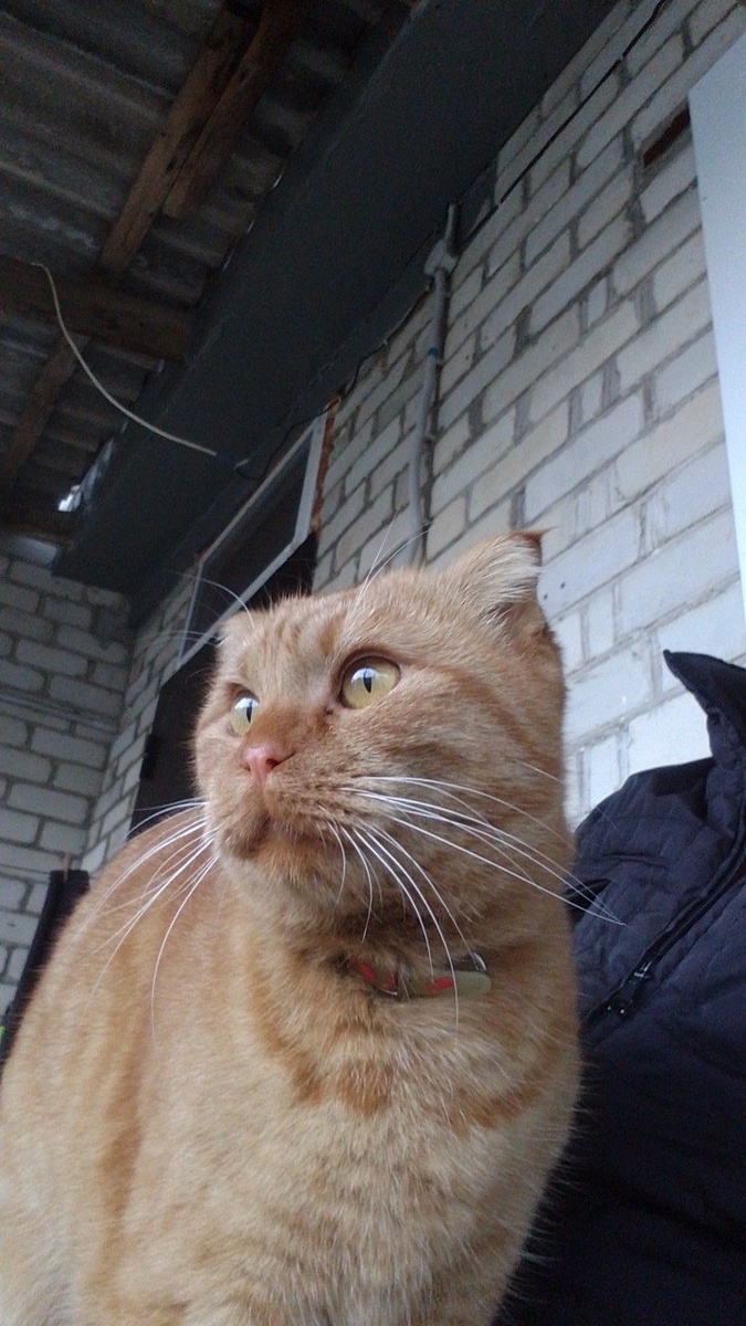 Ну где ты там