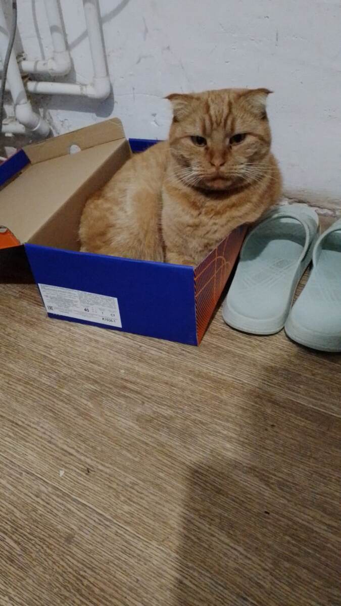 Готов к отправке