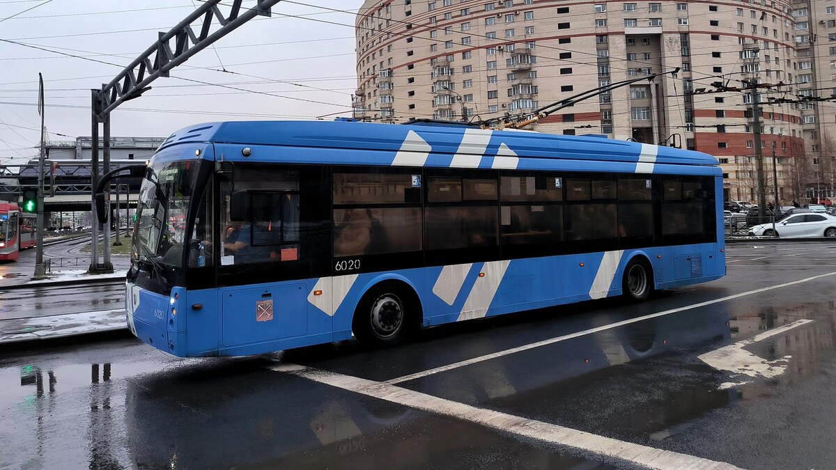    Фото: Maksim Konstantinov/globallookpress.com