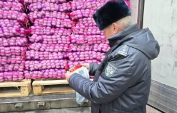    Фото: Россельхознадзор РФ