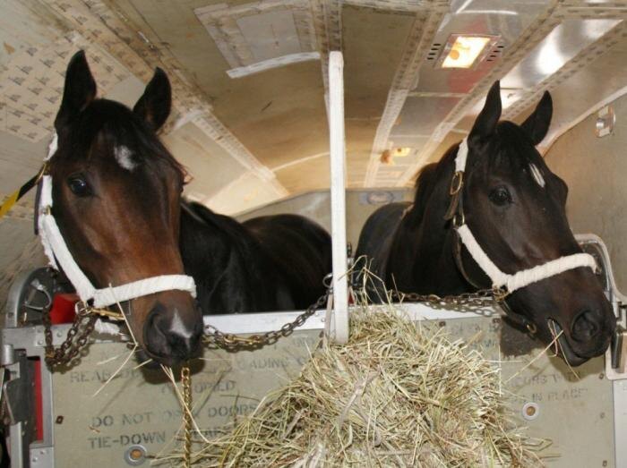     Фото: Россельхознадзор