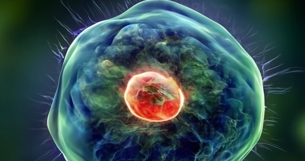 КЛЕТКА: КАК ЖИВОЙ КОНСТРУКТОР LEGO, КОТОРЫЙ САМ СЕБЯ СОБИРАЕТ 🧱🔬