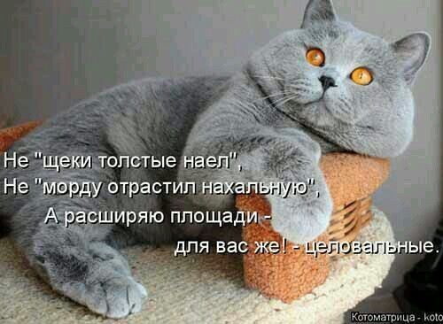 фото из интернета