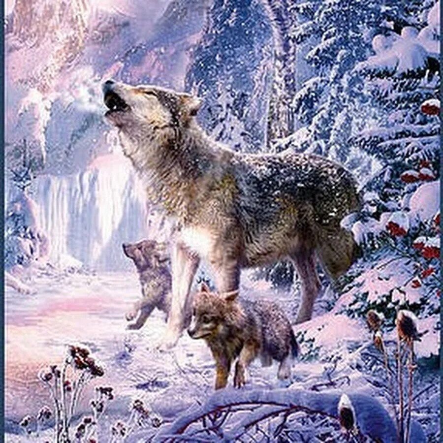 Фото из Яндекса