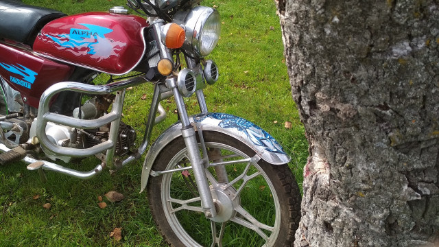    Анастасия Абрамова