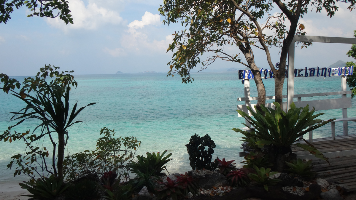 Изумрудный остров. 