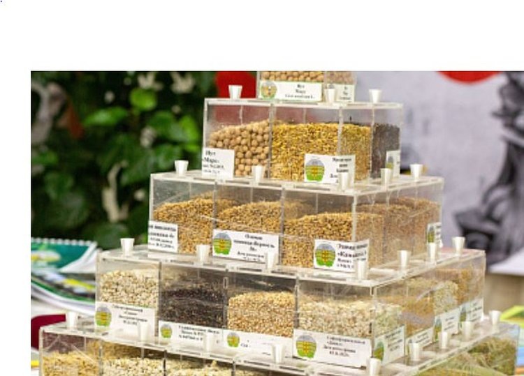    Фото: Комитет сельского хозяйства Волгоградской области