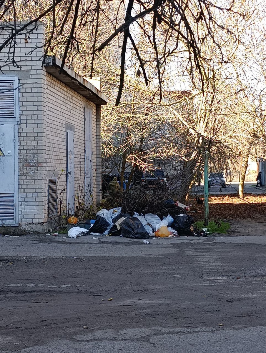    Фото: Telegram-канал главы Скадовского МО Александра Дудки