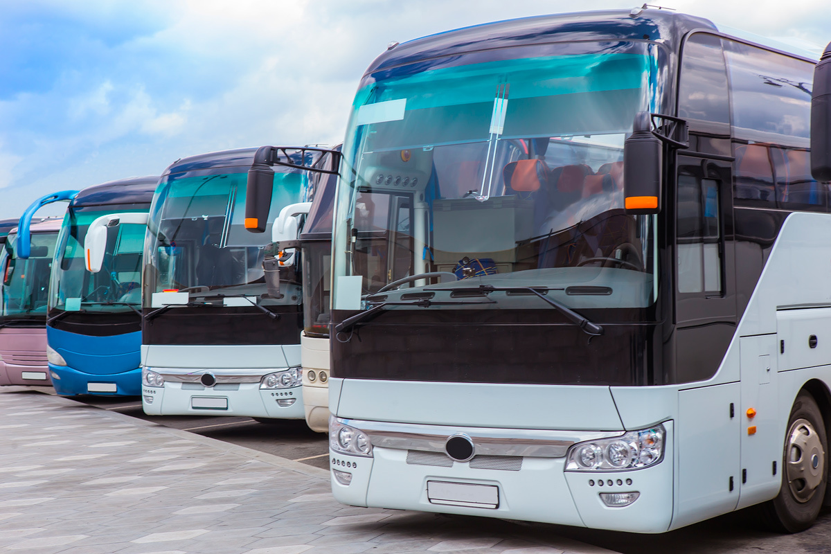    Фото: Mikbiz / Shutterstock.com