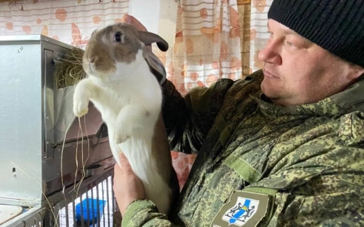    В Новосибирской области 64 ветерана СВО открыли свое дело при господдержке