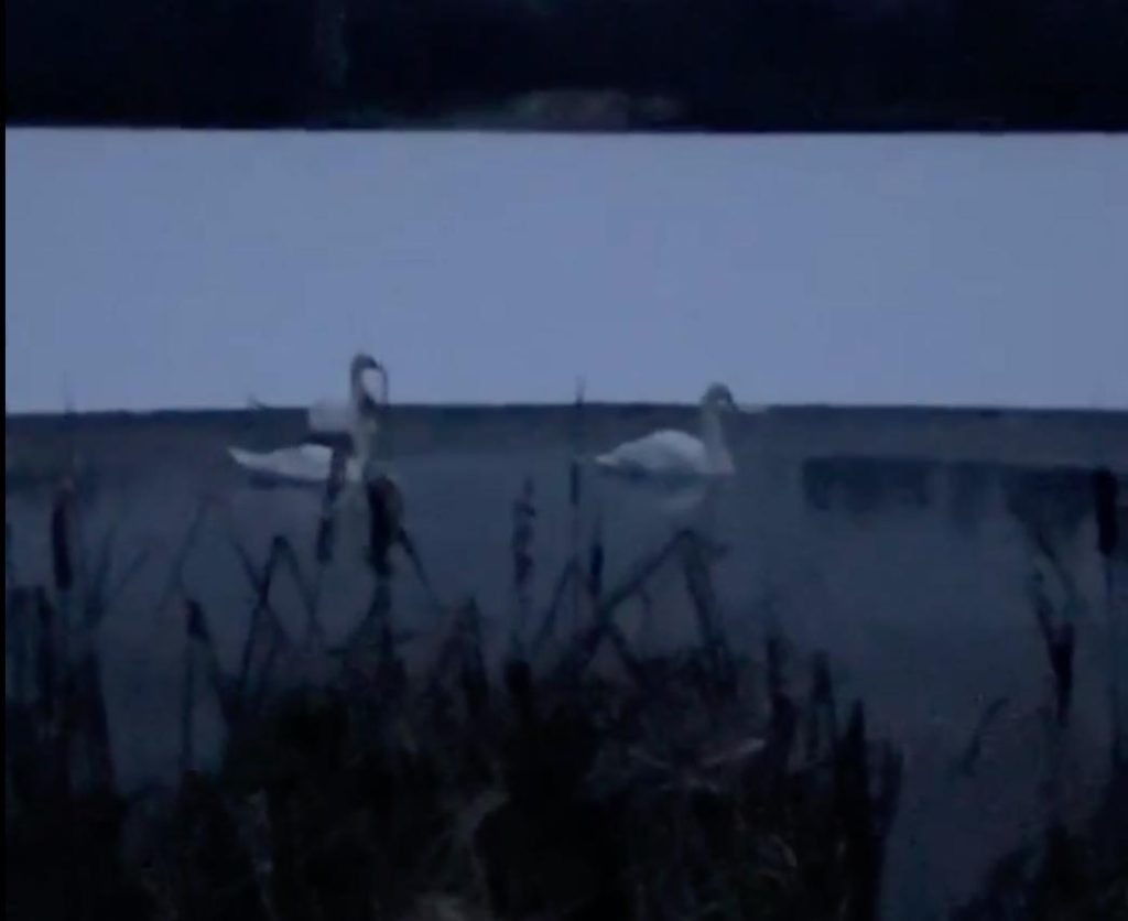    Подслушано Сернур