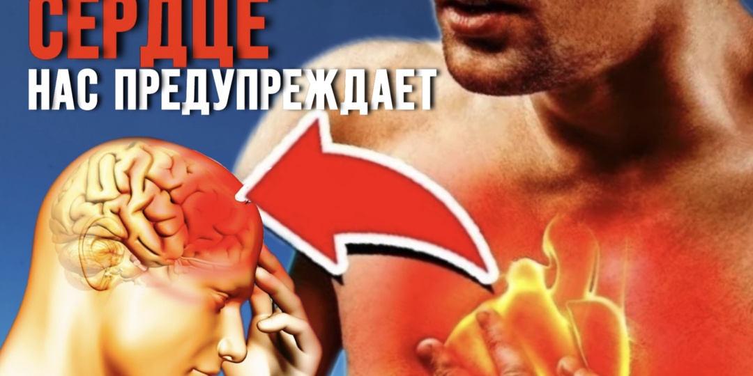 Почему аритмия усиливается вечером: выводы кардиологов