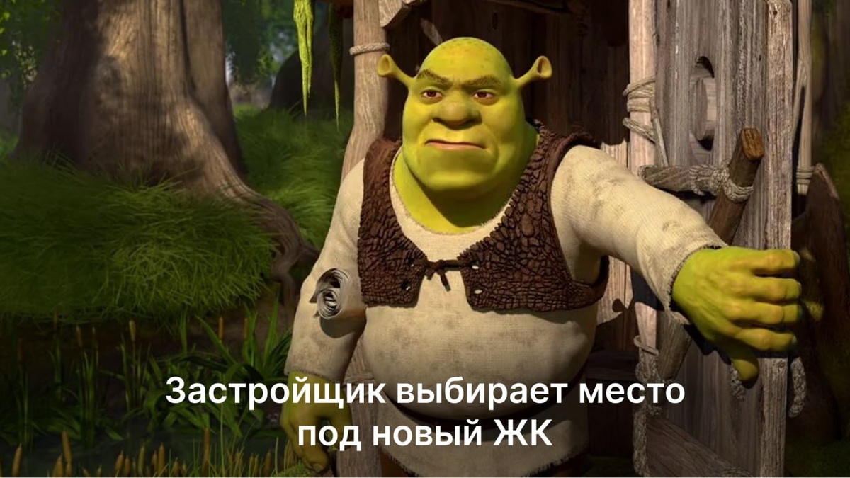 Мое болото. 