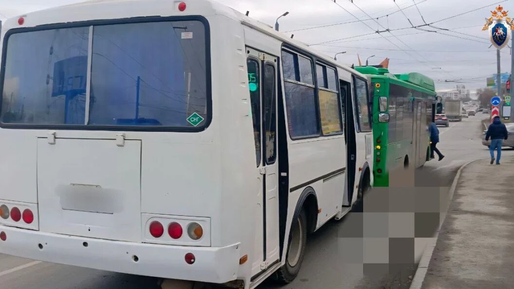    Фото: СК Челябинской области.