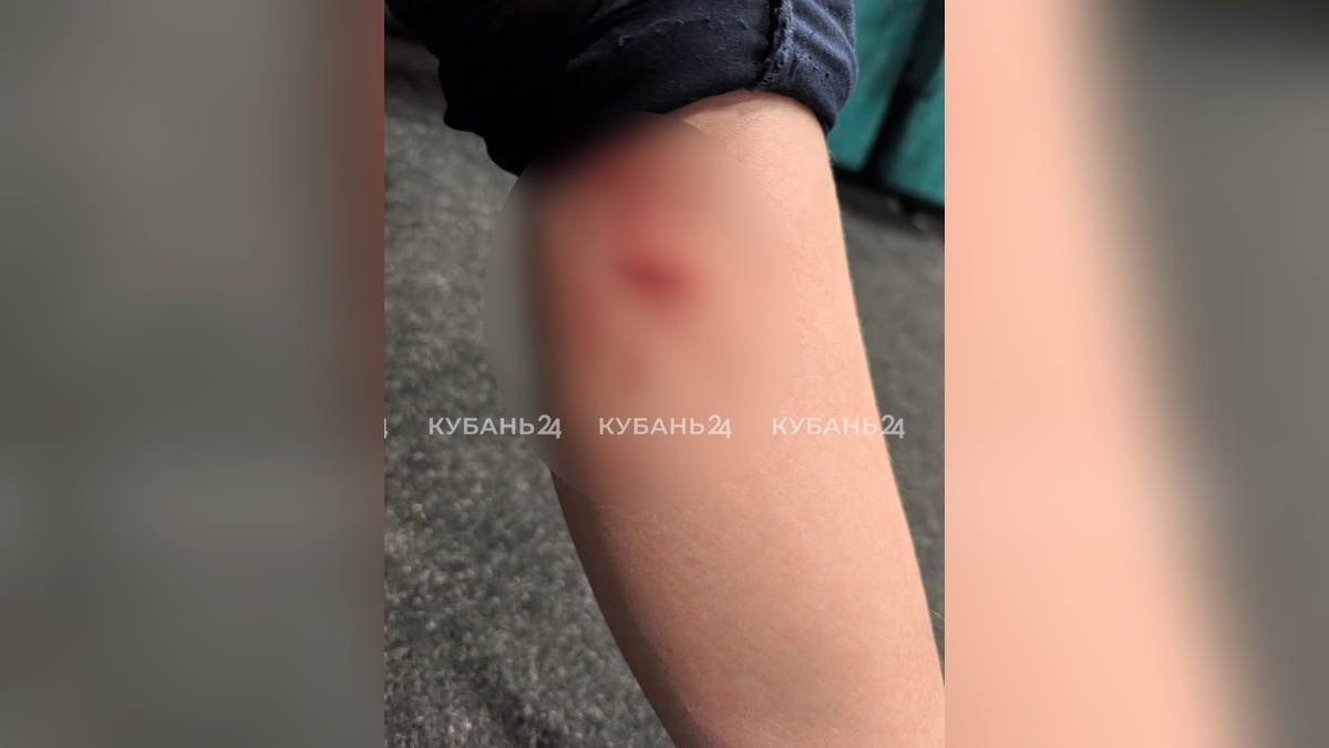    Фото «Кубань 24»