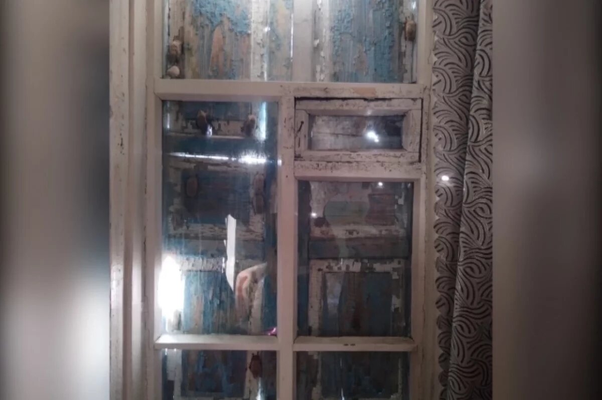    Семейство из 15 летучих мышей поселилось в воронежском доме