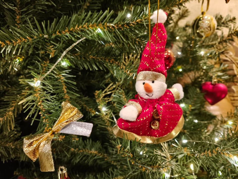     Фото: REGIONS/Елена Шахиджанова