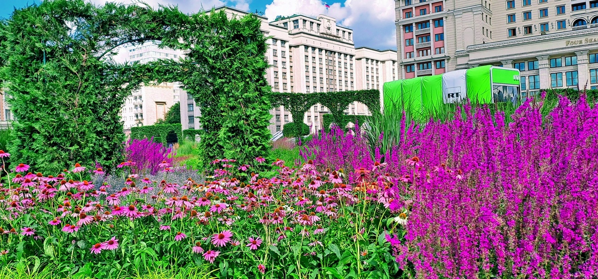 Цветник на Манежной площади