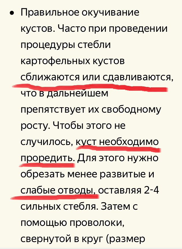 Автор канала «А» пишет, что при окучивании стебли картофельных кустов сдавливаются и их нужно проредить. Обрезать слабые «отводы»...