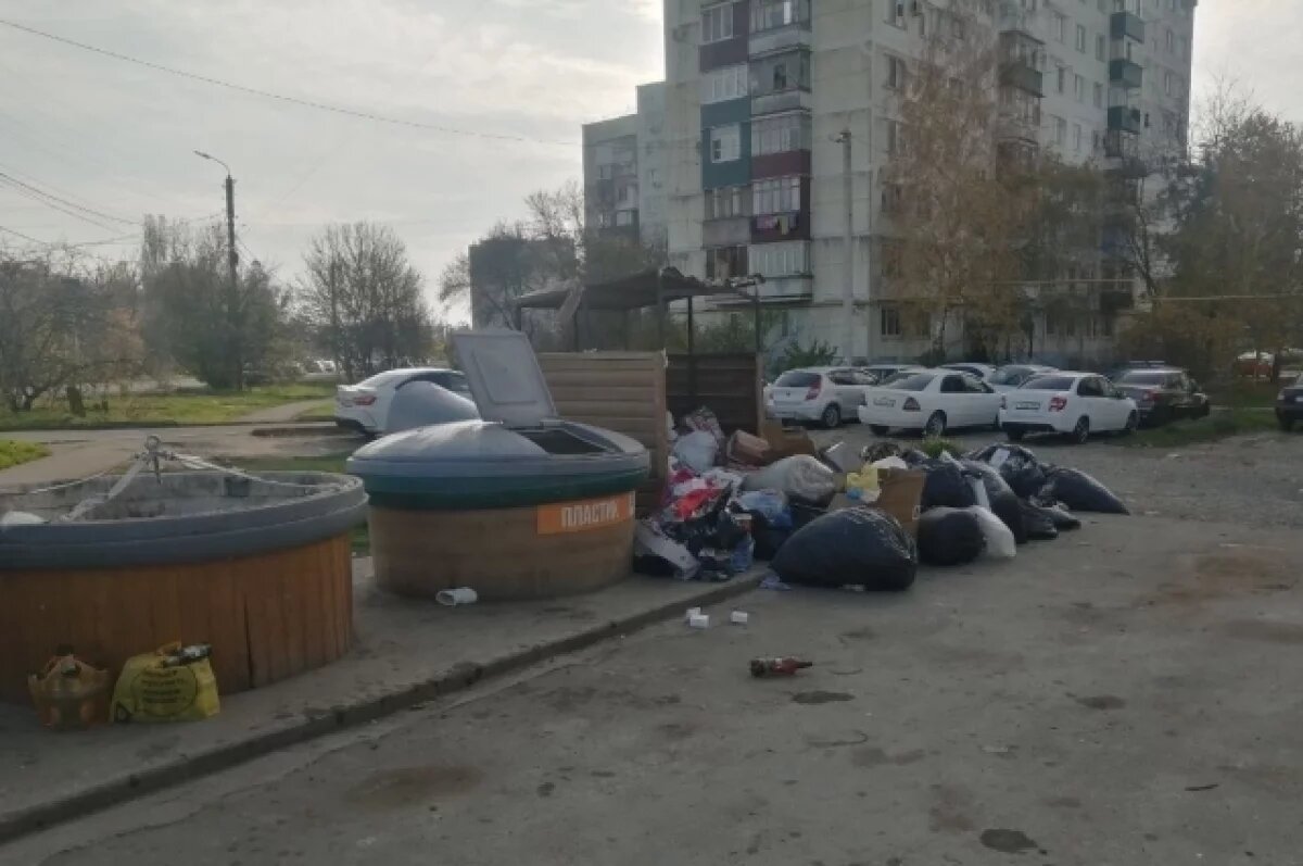    Картина мусорной реформы.