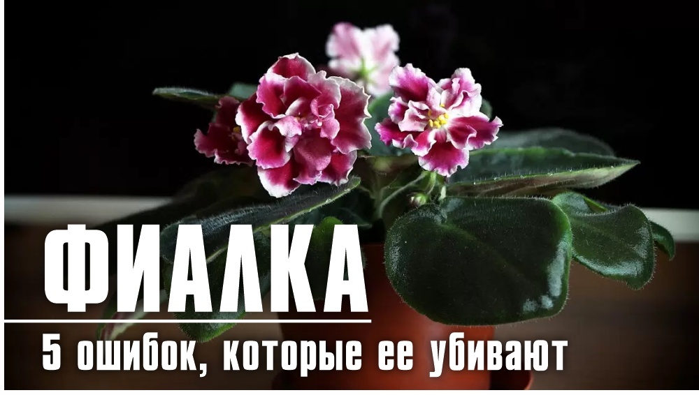 Картинка для обложки статьи