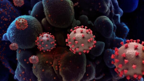    © Getty Images / BSIP