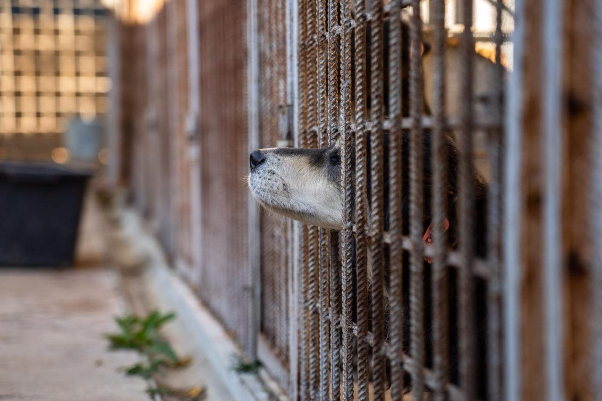 Фото: Александр Плонский / «ВиЖ»